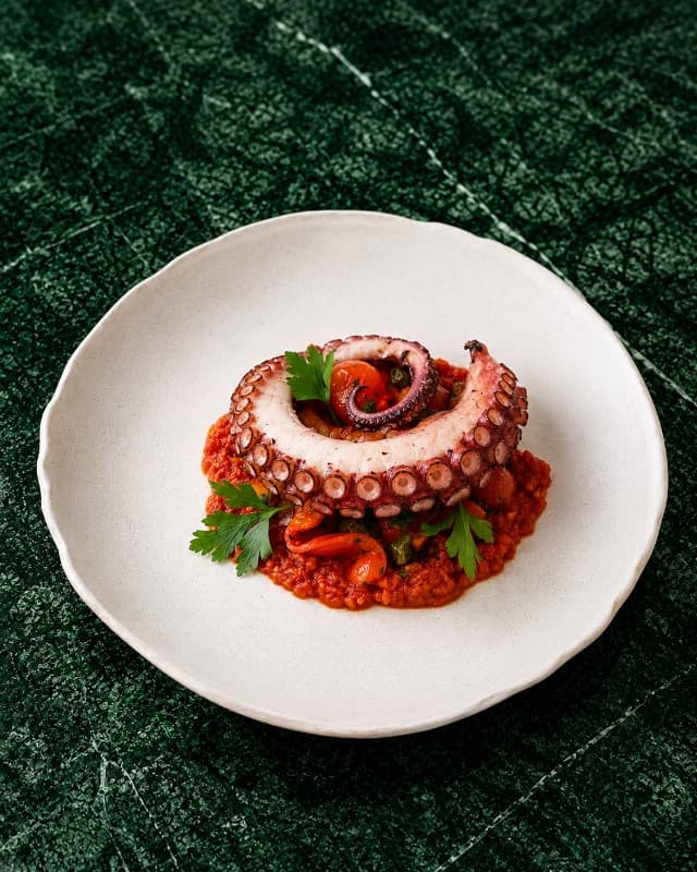 Octopus grill — Tender grilled octopus served with a rich Mediterranean-style tomato sauce, cherry tomatoes, capers,