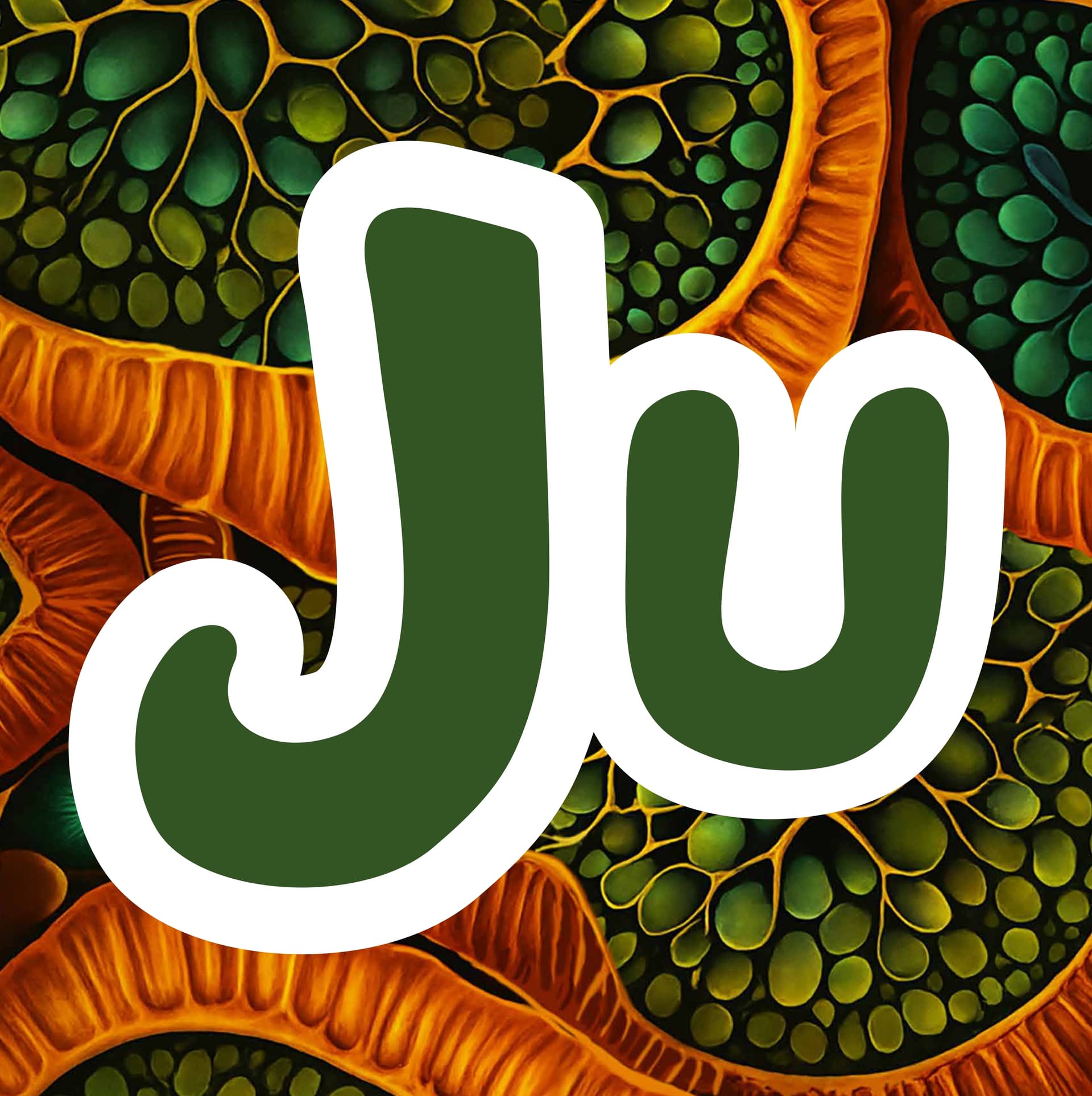 Ju