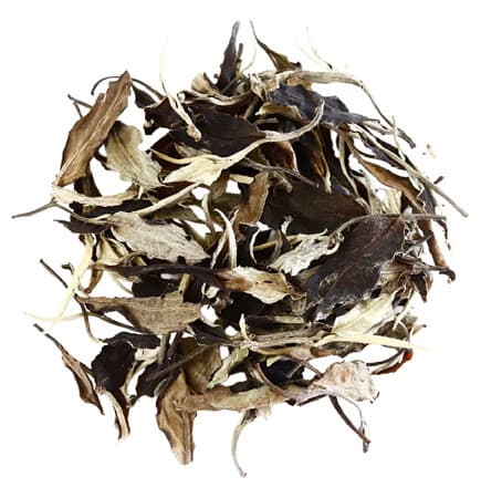 Gu Shu Bai Cha