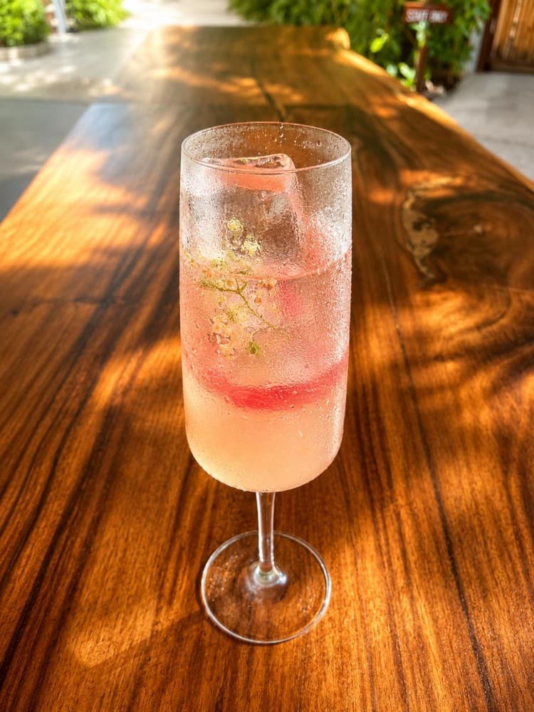 NOVO MIMOSA